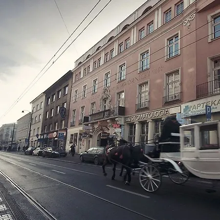 Abella & By Artery Cracovia